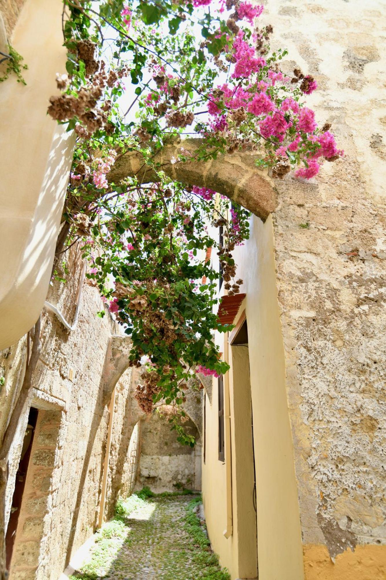 Penelope Garden House Old Town Daire Rhodes City Dış mekan fotoğraf