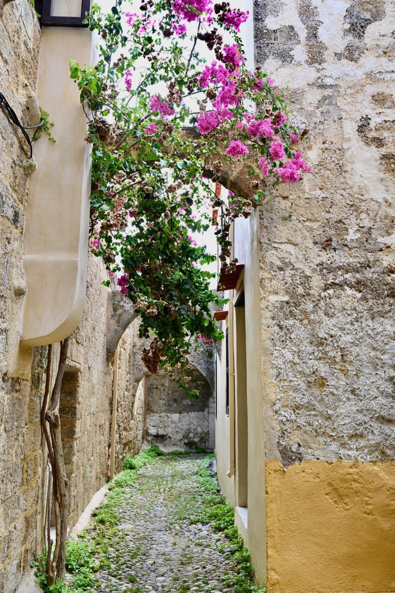 Penelope Garden House Old Town Daire Rhodes City Dış mekan fotoğraf